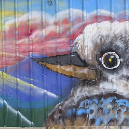 Kookaburra      75m of fence line in Gordon Canberra