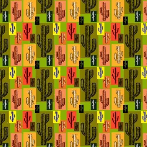 Cactus-Squares